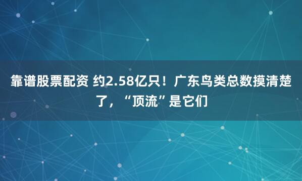 靠谱股票配资 约2.58亿只!广东鸟类总数摸清楚了,“顶流”是它们