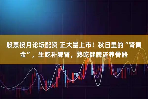股票按月论坛配资 正大量上市！秋日里的“肾黄金”，生吃补脾肾，熟吃健脾还养骨骼