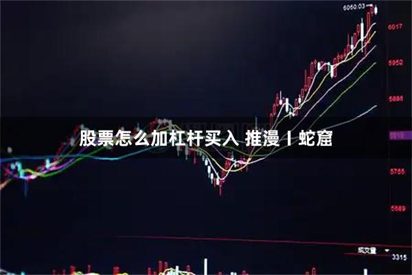股票怎么加杠杆买入 推漫〡蛇窟
