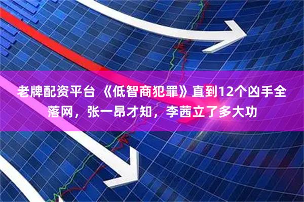 老牌配资平台 《低智商犯罪》直到12个凶手全落网，张一昂才知，李茜立了多大功